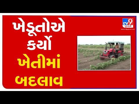 Farmers change pattern, begin sowing cottonseed instead of groundnut.  Junagadh | TV9News