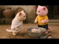 Brother Cat and Sister Cat’s Crazy Prank Story | Emotional &amp; Funny Cat Adventure PART 18