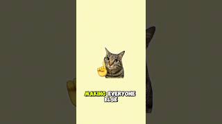 Stay Quiet, Stay Winning: The Genius Mindset