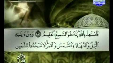 سورة فصلت الشيخ توفيق الصائغ