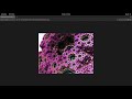 Generating Fractals on the VisionFive 2 RISC-V SBC