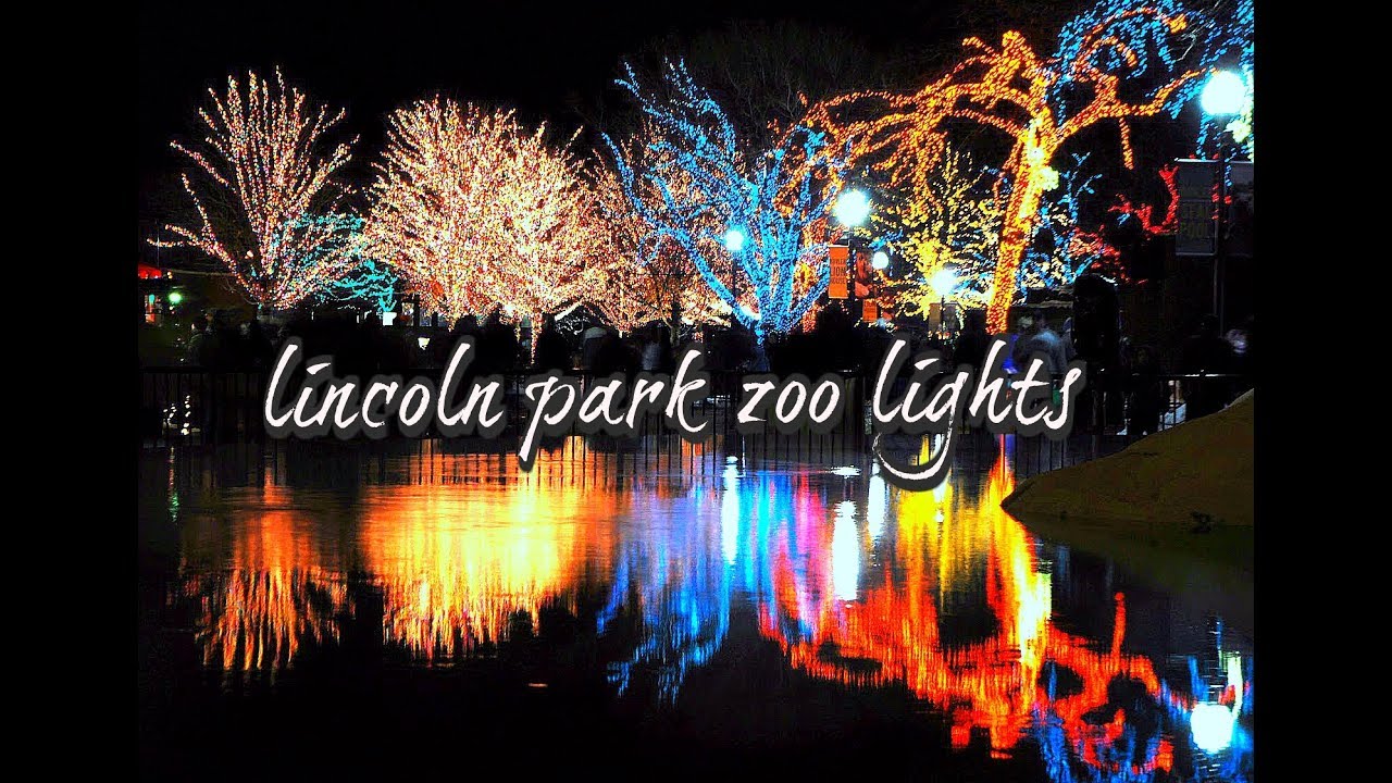 Lincoln Park Zoo Lights YouTube
