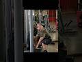 Cable belt squat! Crazy let pump
