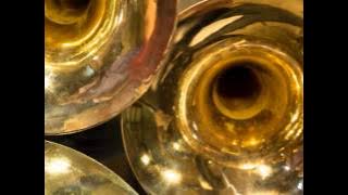 Торжественные фанфары 3 / Solemn ceremony fanfares - Composer V.Motsardo