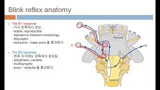 순목반사 검사와 안면근 근전도blink reflex