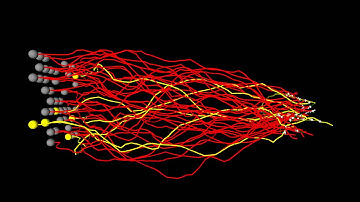 Evolved Machines   Wiring Synthesis   Small Scale Illustration