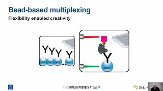 Multiplexed Mapping of the GPCR-RAMP Interactome by Labroots 181 views 1 month ago 35 minutes