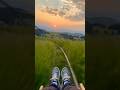 Fields of Gold: A Dreamy Evening Ride