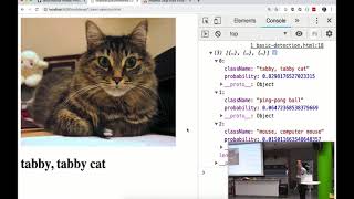 Machine learning in the browser - Richard Young