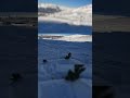 Extrait de ma vidéo épisode 2