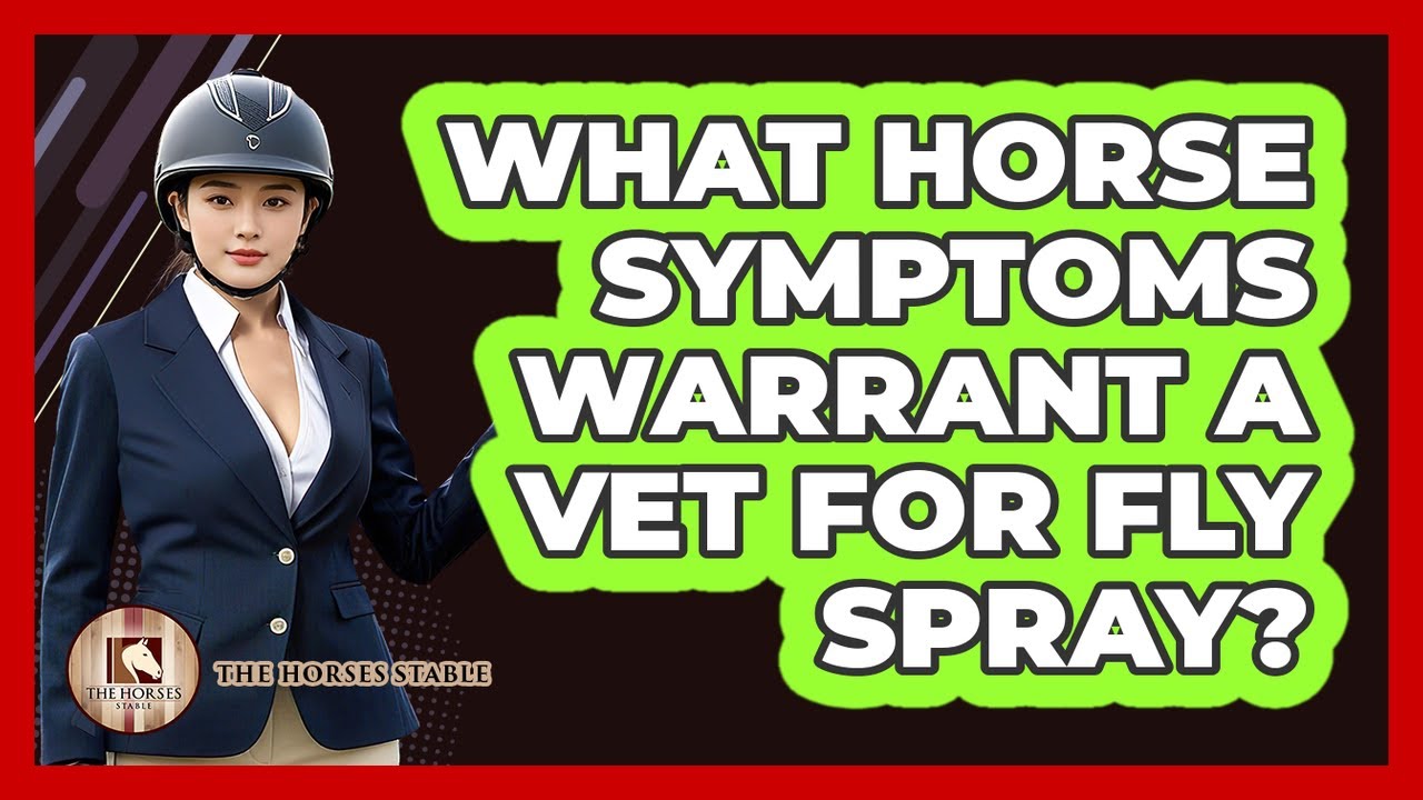 What Horse Symptoms Warrant A Vet For Fly Spray?