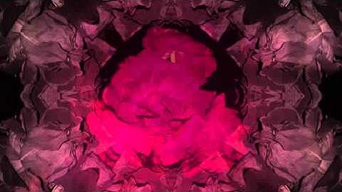 Motion Graphic Title Sequence