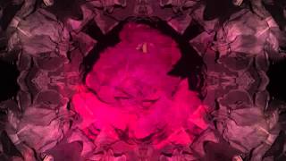 Motion Graphic Title Sequence