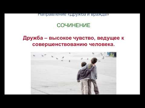 Итоговое сочинение 47. Дружба – высокое чувство, ведущее к совершенствованию человека.