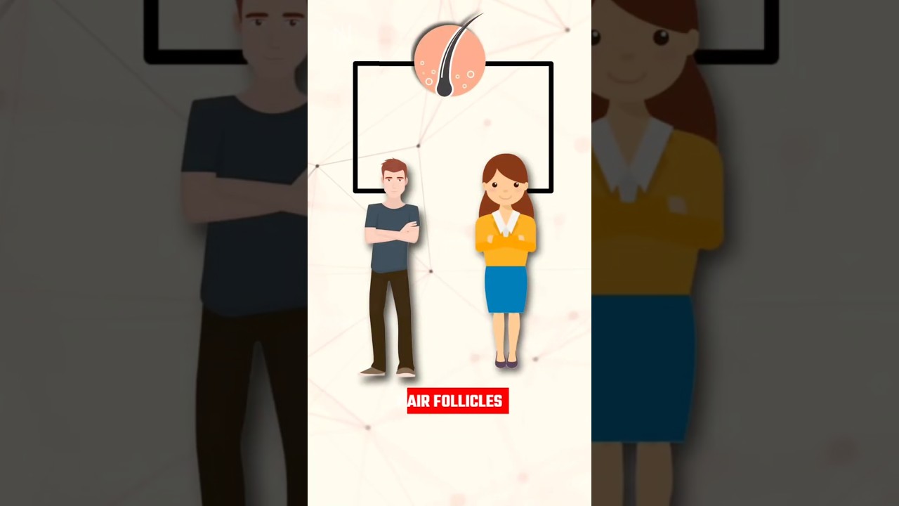 Why don't girls grow beards? 