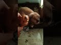 Nadie va a decir que se parecen