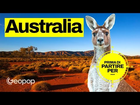 Video: Quale canguro è il simbolo nazionale dell'Australia?