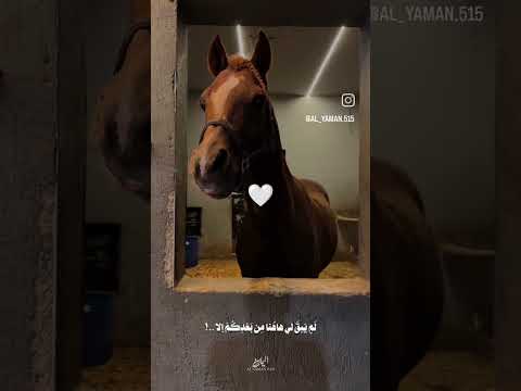 طال البعاد وقلبي ليس يحتمل