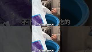 Villagers Urgently Need Clean Water - Watercrisis Sustainablesolution