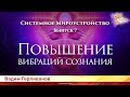 Повышение вибраций сознания. Системное мироустройство. Вадим Герливанов. Выпуск 7