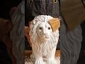 I MADE A BEAUTIFUL LION... ...WITH AI#AI #AIVideo #AIContent #AIGenerated #AIShorts