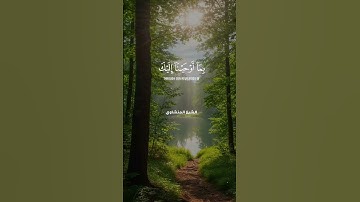تلاوة تهز القلوب | نحن نقص عليك أحسن القصص | المنشاوي 🌿