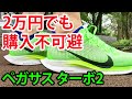 ナイキ ペガサス ターボ 2をレビュー！ズームフライとの使い分けは？