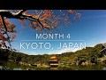 Remote year yugen  kyoto japan month 4