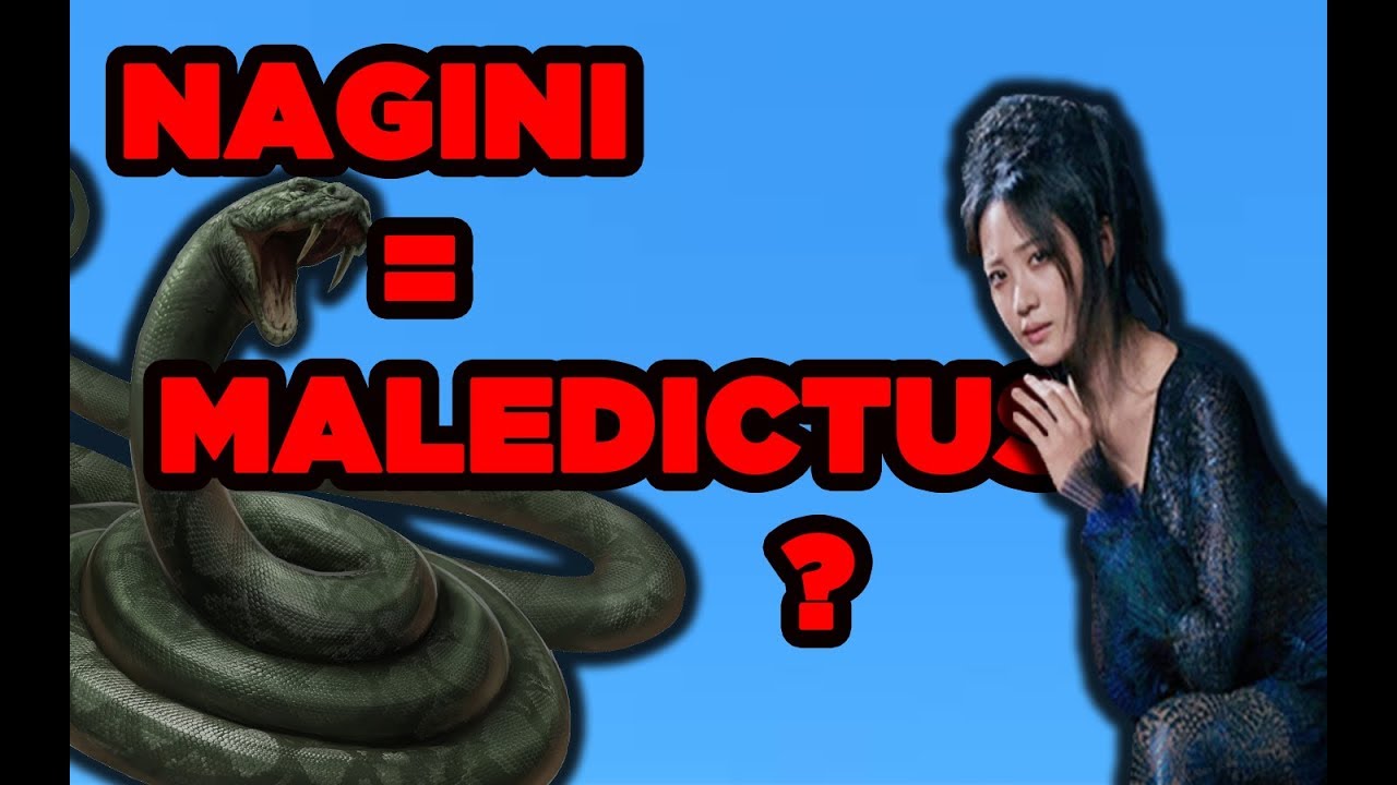 Maledictus Maledictus