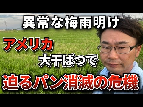 異常な梅雨明け アメリカ 大干ばつで迫るパン消滅の危機