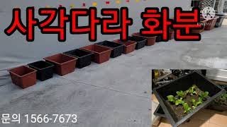사각다라 화분 텃밭화분 상추키우기 베란다화분 옥상화분 고무다라 고무다라이