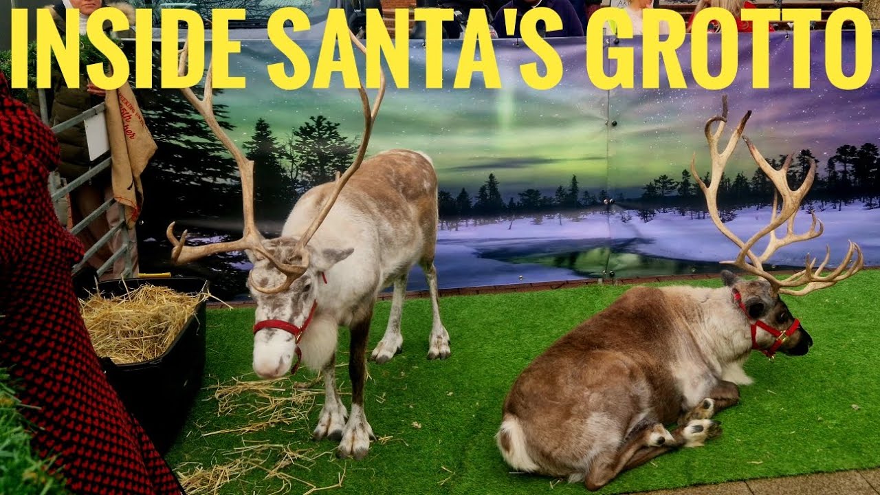 The Day I was an Elf at Santa's Grotto! (New Monday)