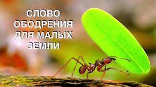 картинка: PS: СЛОВО ОБОДРЕНИЯ ДЛЯ 