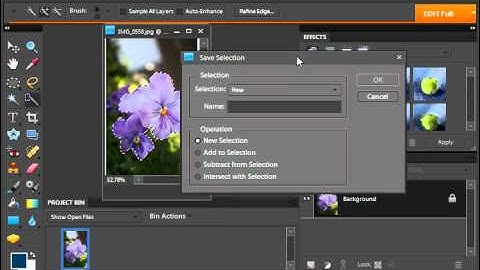 Photoshop Elements 9.0 Tutorial Saving & Loading Selections Adobe Training Lesson 8.10