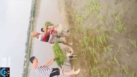 Những tình huống CÁI KHÓ LÓ CÁI KHÔN   tik tok trung quốc