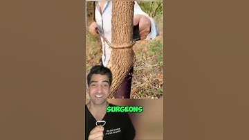 Thumbnail of Surgical Cutting Saw