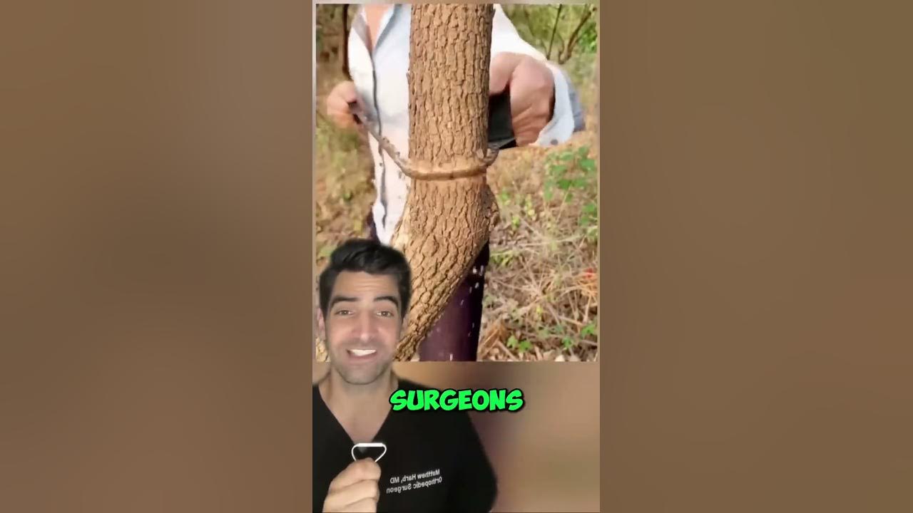 Surgical Cutting Saw