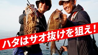 【ロックフィッシュ】ハタポイントの探し方～広川嘉孝・倉本啓二