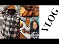 Weekly Vlog: Dinner + Trying TikTok snack + New Wig