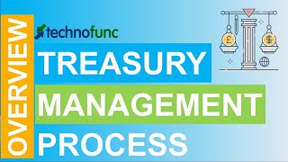 Introduction to Treasury Management Process