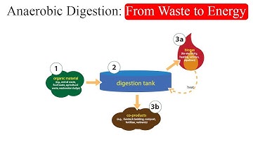 Anaerobic Digestion: From Waste to Energy