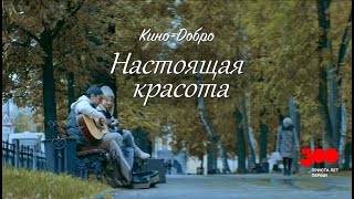 Настоящая красота. Кино=Добро