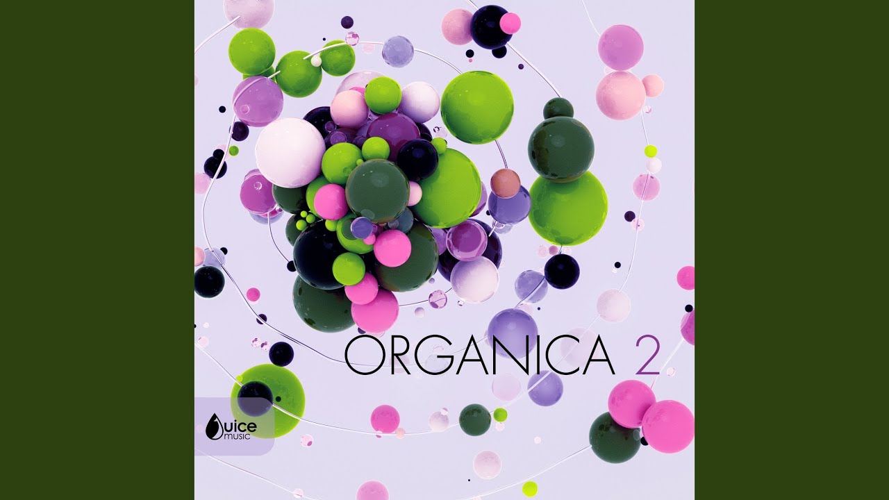 Guarda Timbo su YouTube Guarda Timbo su YouTube