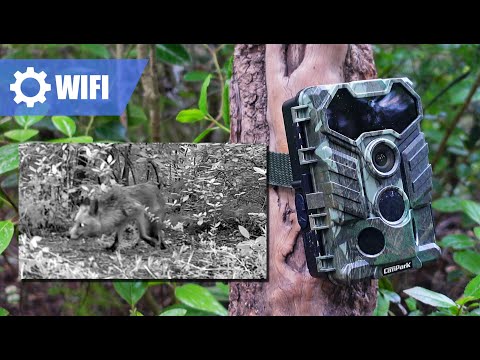 Campark TC29 📡 WIFI Trail camera