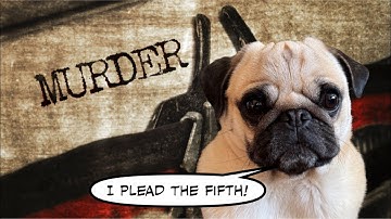WHODUNNIT? PUGS?