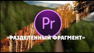 «Разделенный фрагмент» в Premiere Pro. Переход на разделенный экран.