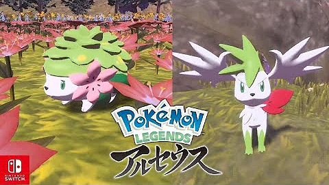 シェイミ 戻らない