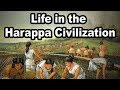 Harappan Civilization: Artifacts and Agriculture