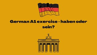 German A1 exercise - haben oder sein?