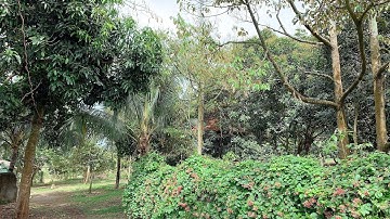 Bán khoảng hơn 2 mẫu 5 (25.492m2) đất Láng Lớn, huyện Châu Đức,BRVT. Giá 22 tỷ. Liên hệ : 0372107725